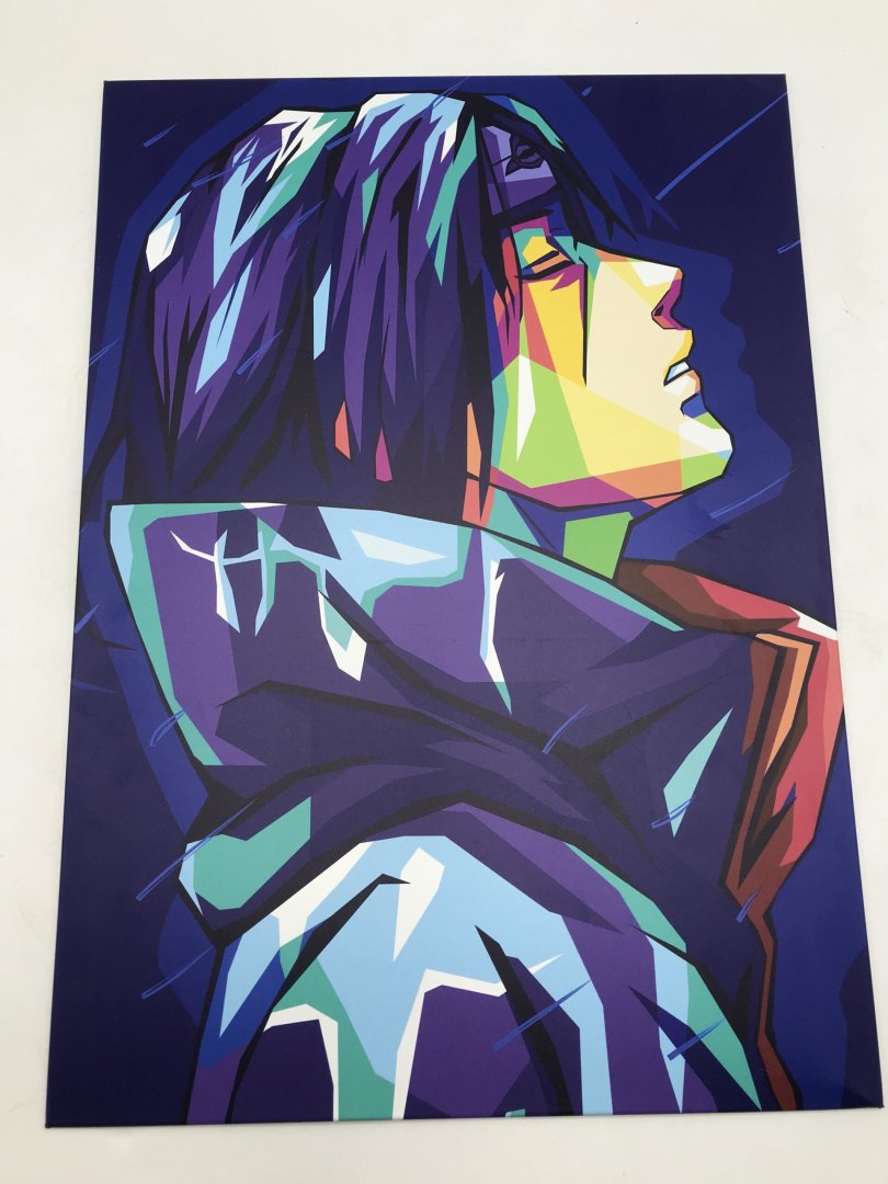 Deco tableau manga