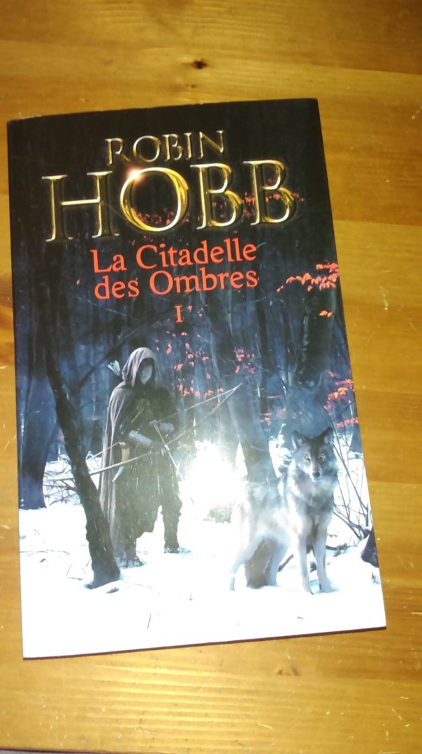 La citadelle des ombres