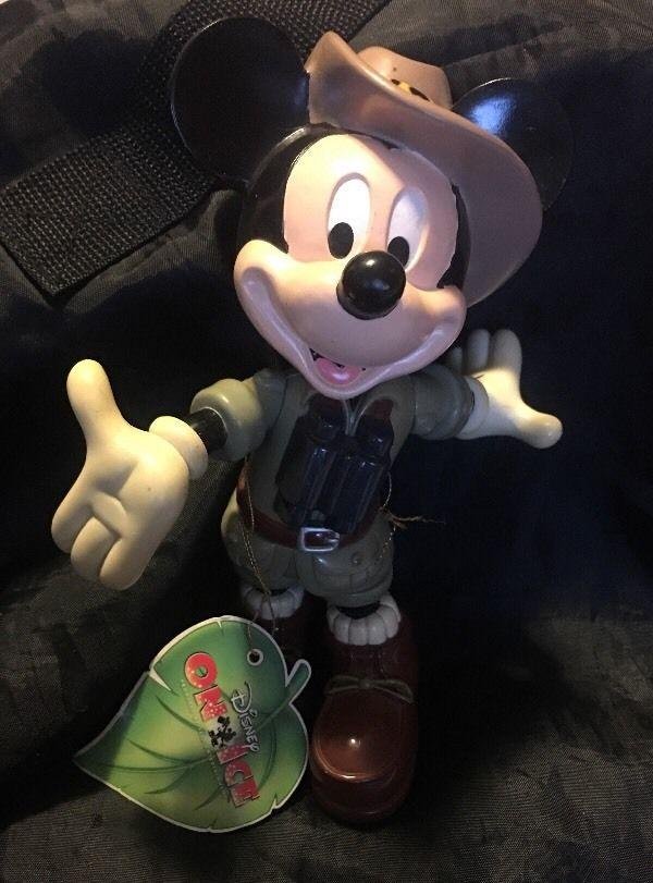 One ice mickey safari
