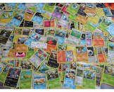 Cartes 204/189 nacchara full art