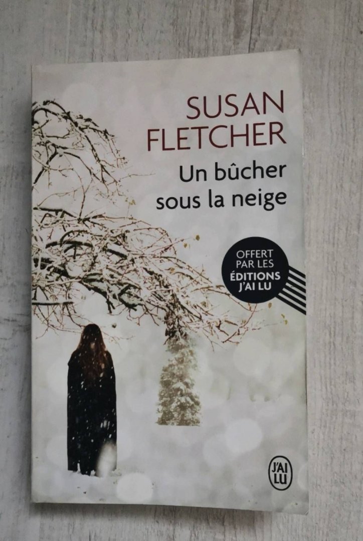 Un bucher sous neige