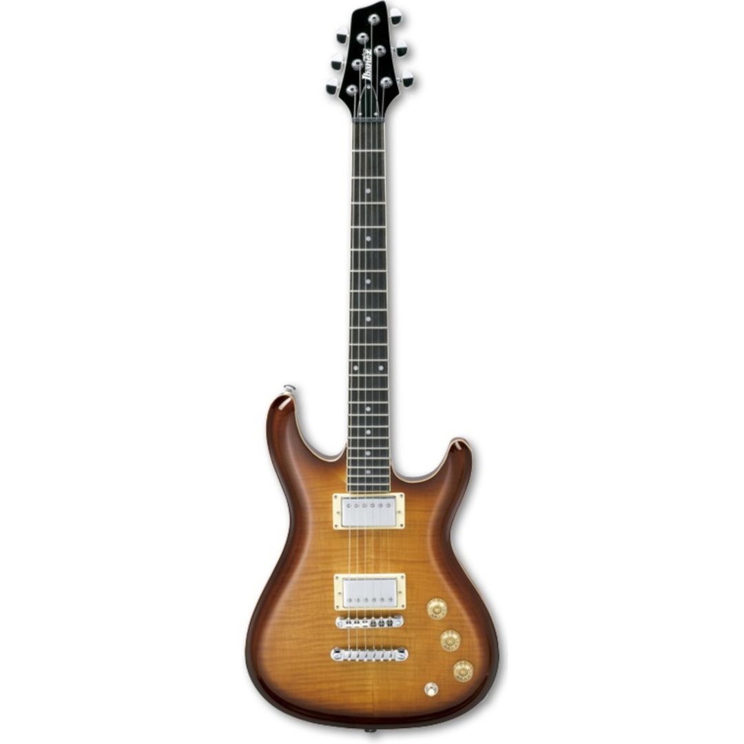Guitare gs 220