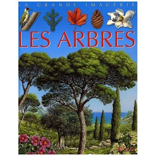 Les arbres