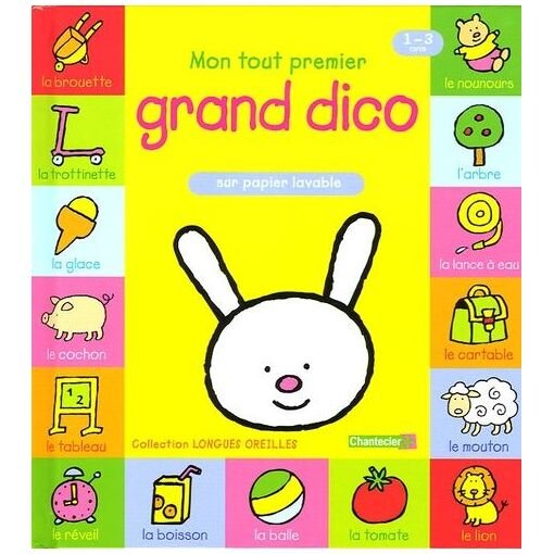 Mon tout premier grand dico