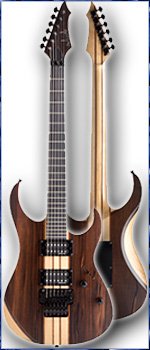 Guitare electrique gs2