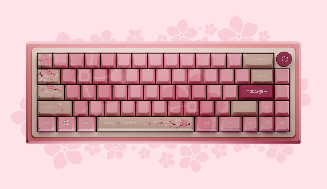 Clavier magnetique 65% hayami