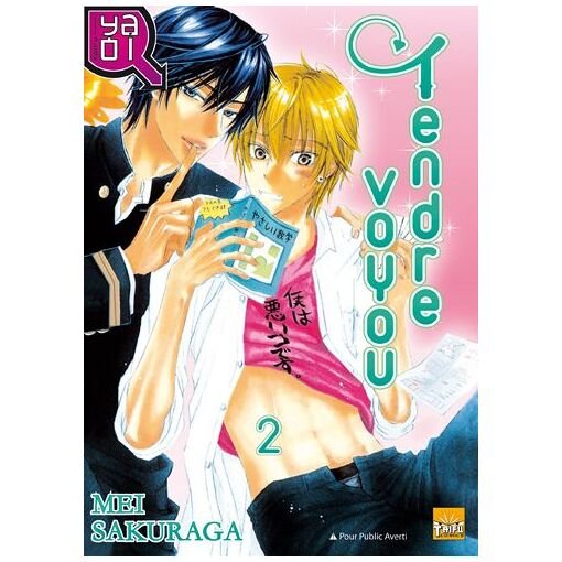 Tendre voyou - tome 2