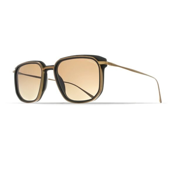 Lunettes de soleil wayne sun