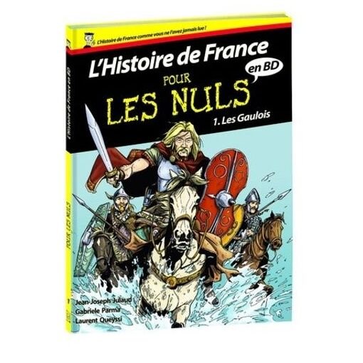 L'histoire de france pour les nuls en bd tome 1 - les gaulois