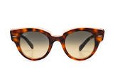 Lunettes rb2192