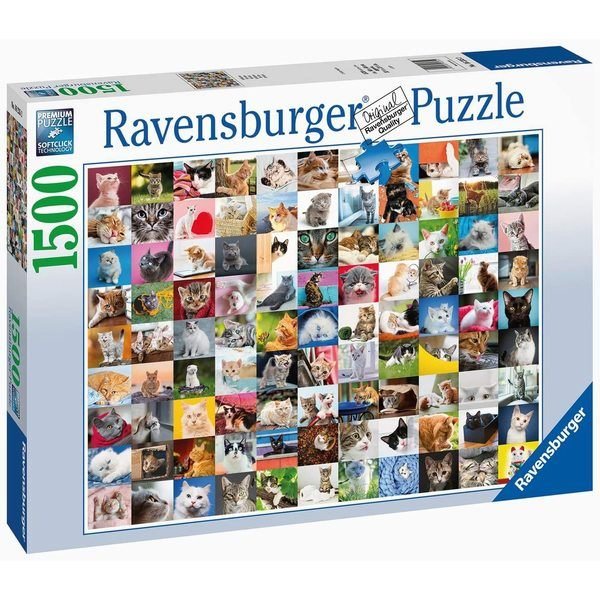 Puzzle 99 chats