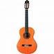 Guitare iberia ziricote