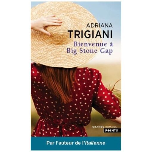 Bienvenue a big stone gap