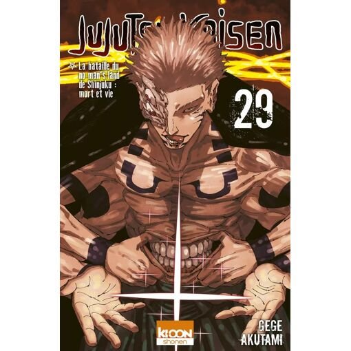 Jujutsu kaisen - tome 29