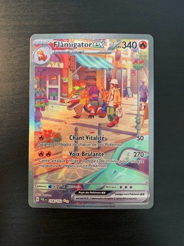 Carte flamigator 258/193