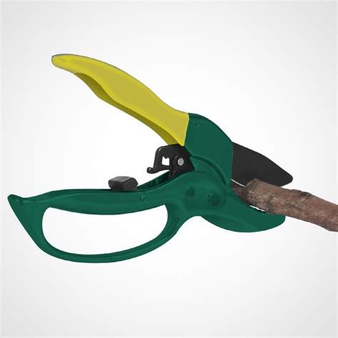Secateur vert