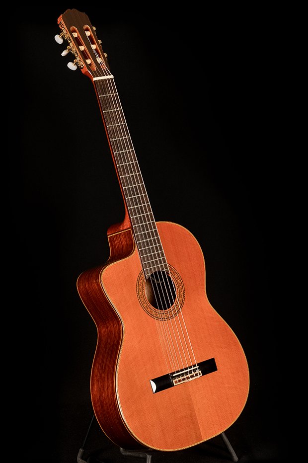 Guitare electro-acoustique cp-132sc
