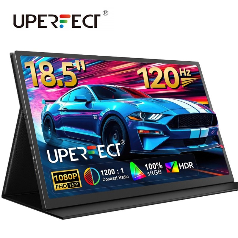 Moniteur portable 18.5
