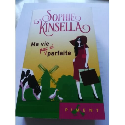 Ma vie pas si parfaite