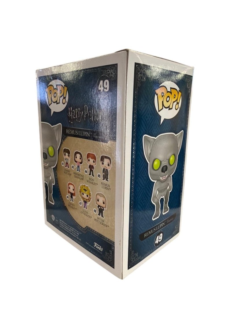 Fig remus lupin 49