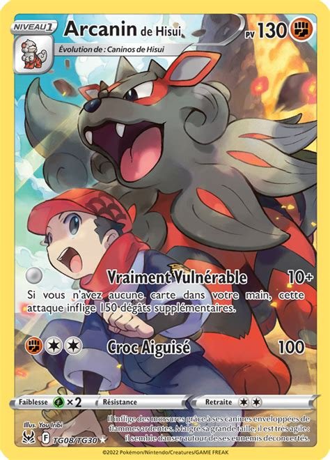 Cartes arcanin tg08/tg30
