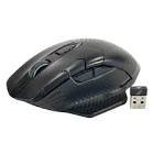 Souris rgp0076