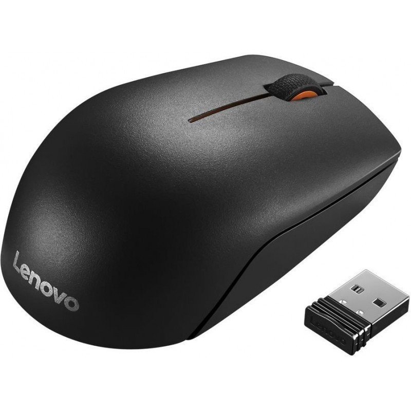 Souris sans fil l300