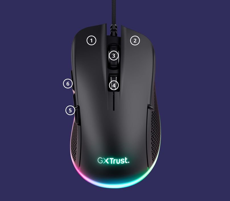 Souris 24729