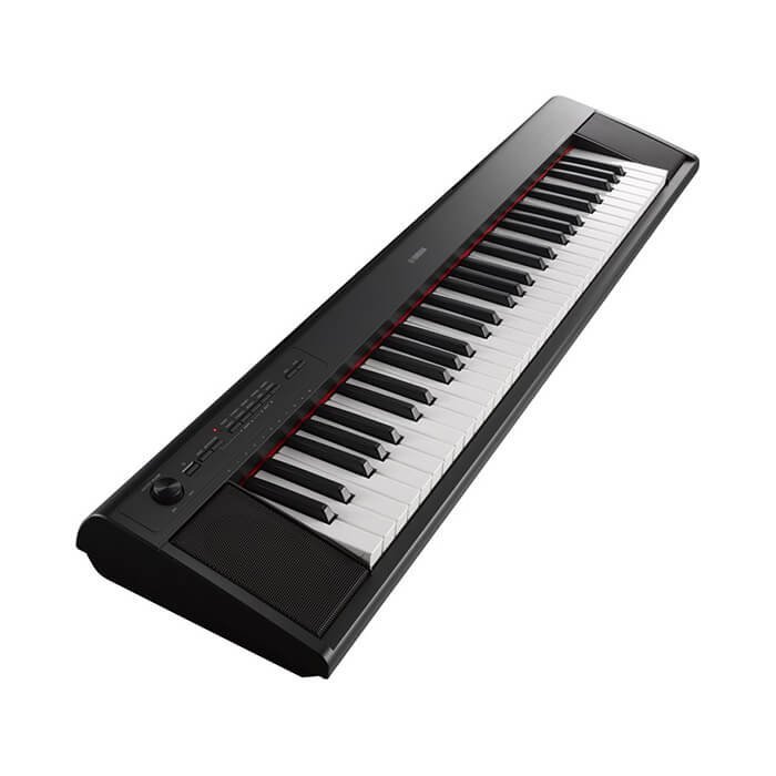 Synthe piaggero np-12 black
