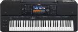 Synthe psr-sx700