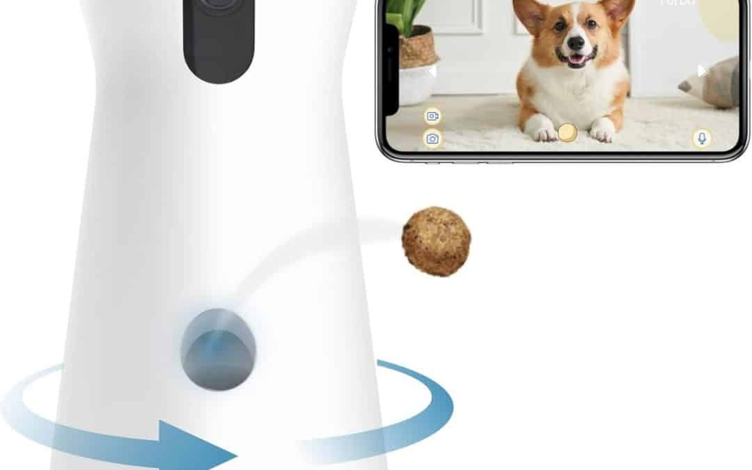 Accesoire chien dog camera