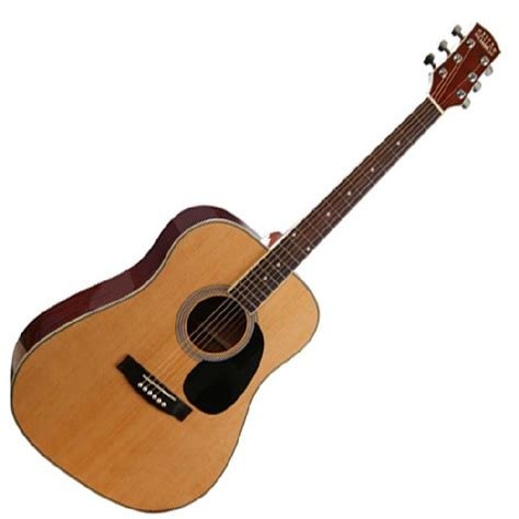 Guitare acoustique wt-760