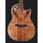 Guitare folk celebrityeliteplusce44p-fkoa-g 4/4