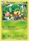 Carte pokemon feuillajou bw14