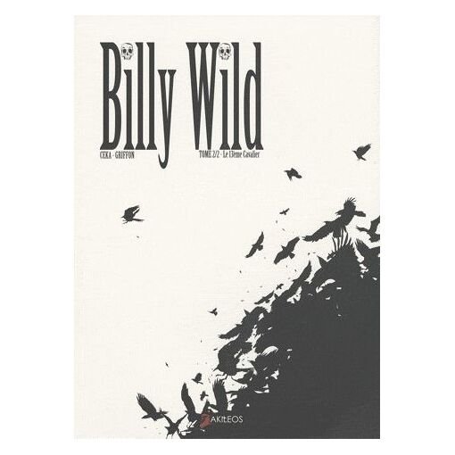 Billy wild tome 2 - le 13e cavalier