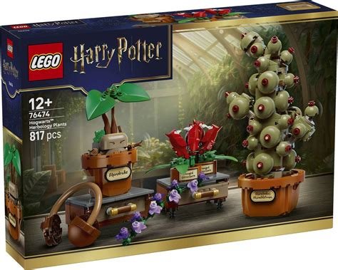 Harry potter 76474