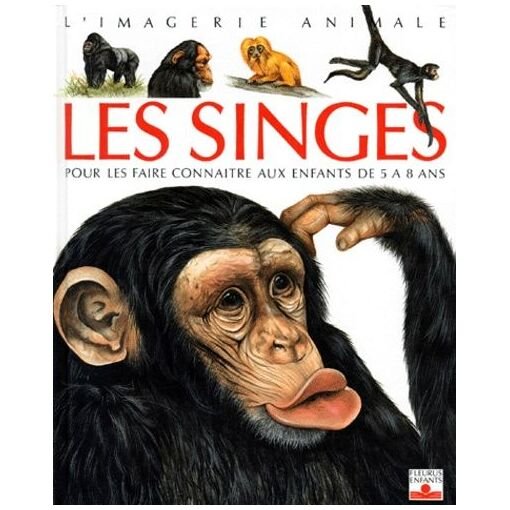 Les singes - pour les faire connaitre aux enfants de 5 a 8 ans