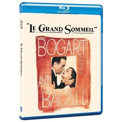 Le grand sommeil