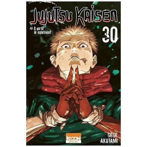Jujutsu kaisen - tome 30