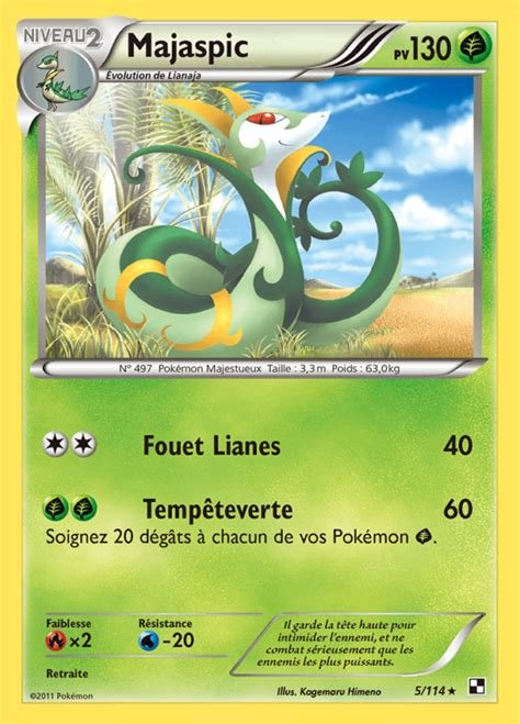 Cartes a collectionner majaspic 5/114 holo rare