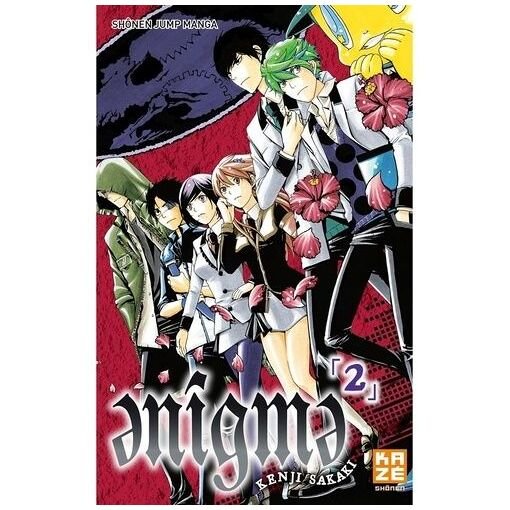 Enigma - tome 2