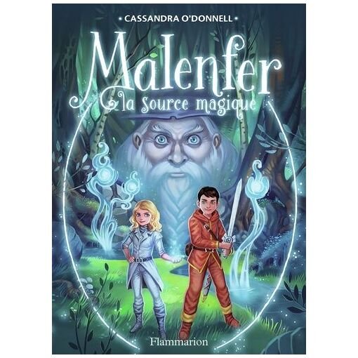 Malenfer - tome 2 - la source magique