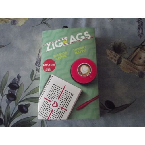 Zigzags de vanessa caffin et thierry mattei