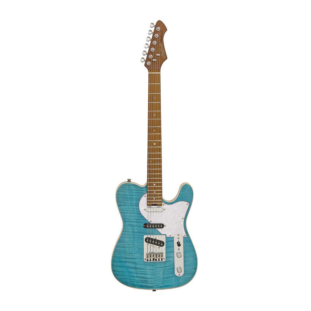 Guitare electrique pro 2 nashville
