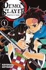 Manga tome 11