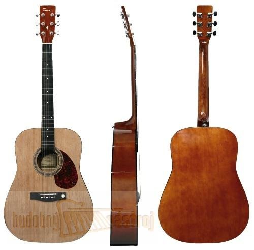Guitare dreadnought d1 acoustic