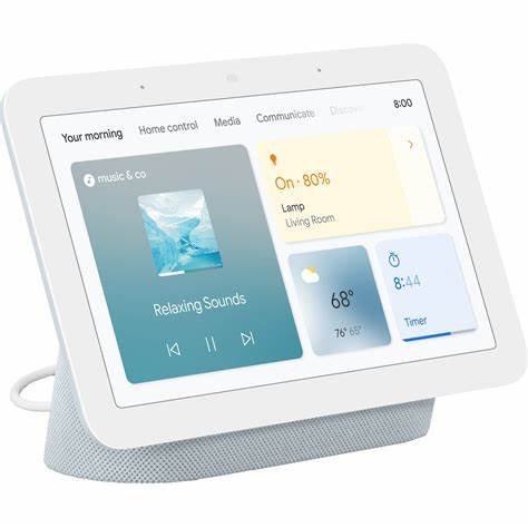 Assistant vocal nest hub v2