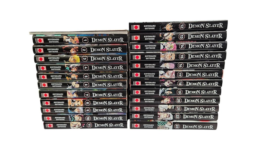 Demon slayer tome 1 a 23