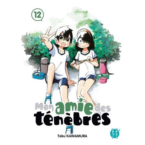 Mon amie des tenebres - tome 12