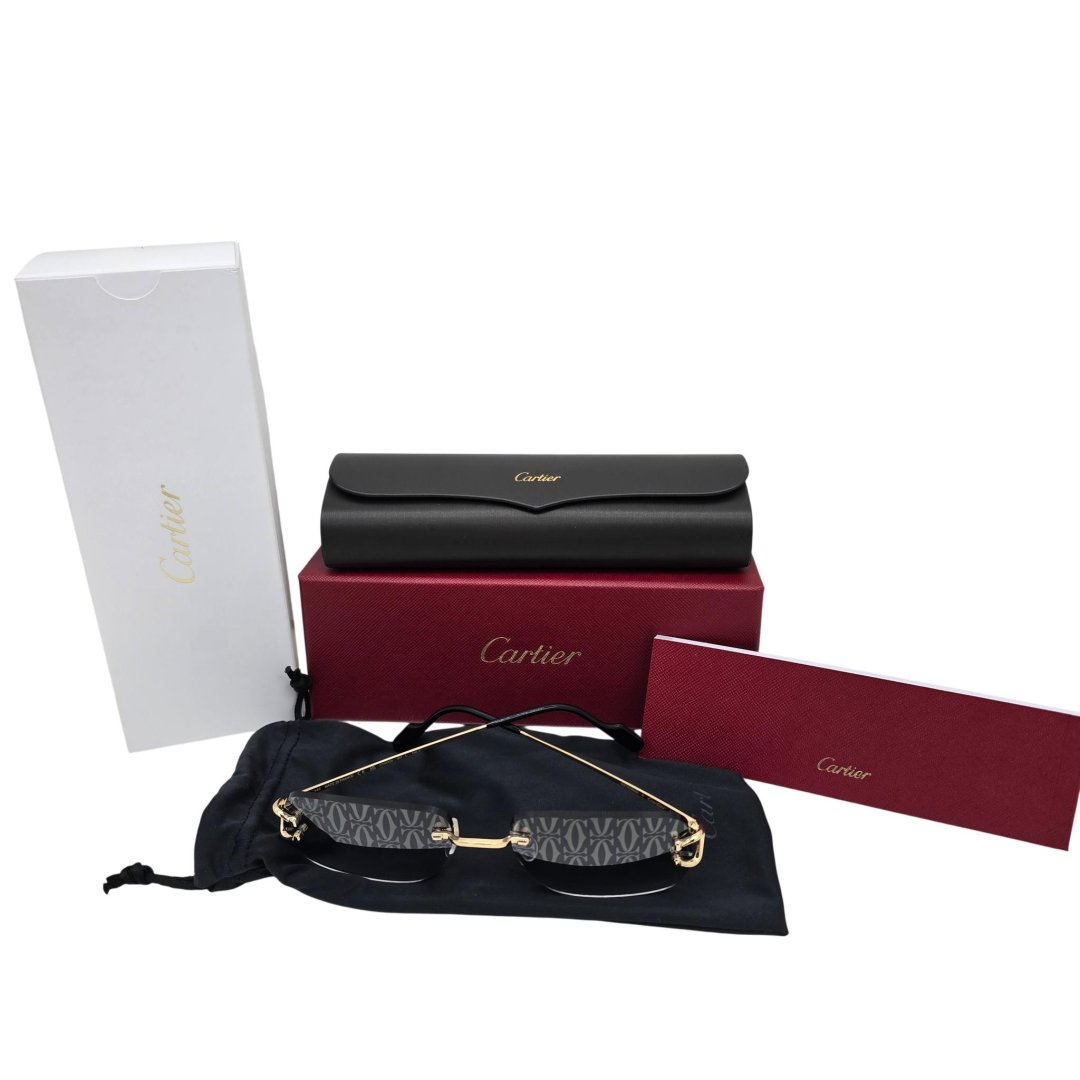 Lunettes piccadilly ct0330s - 007